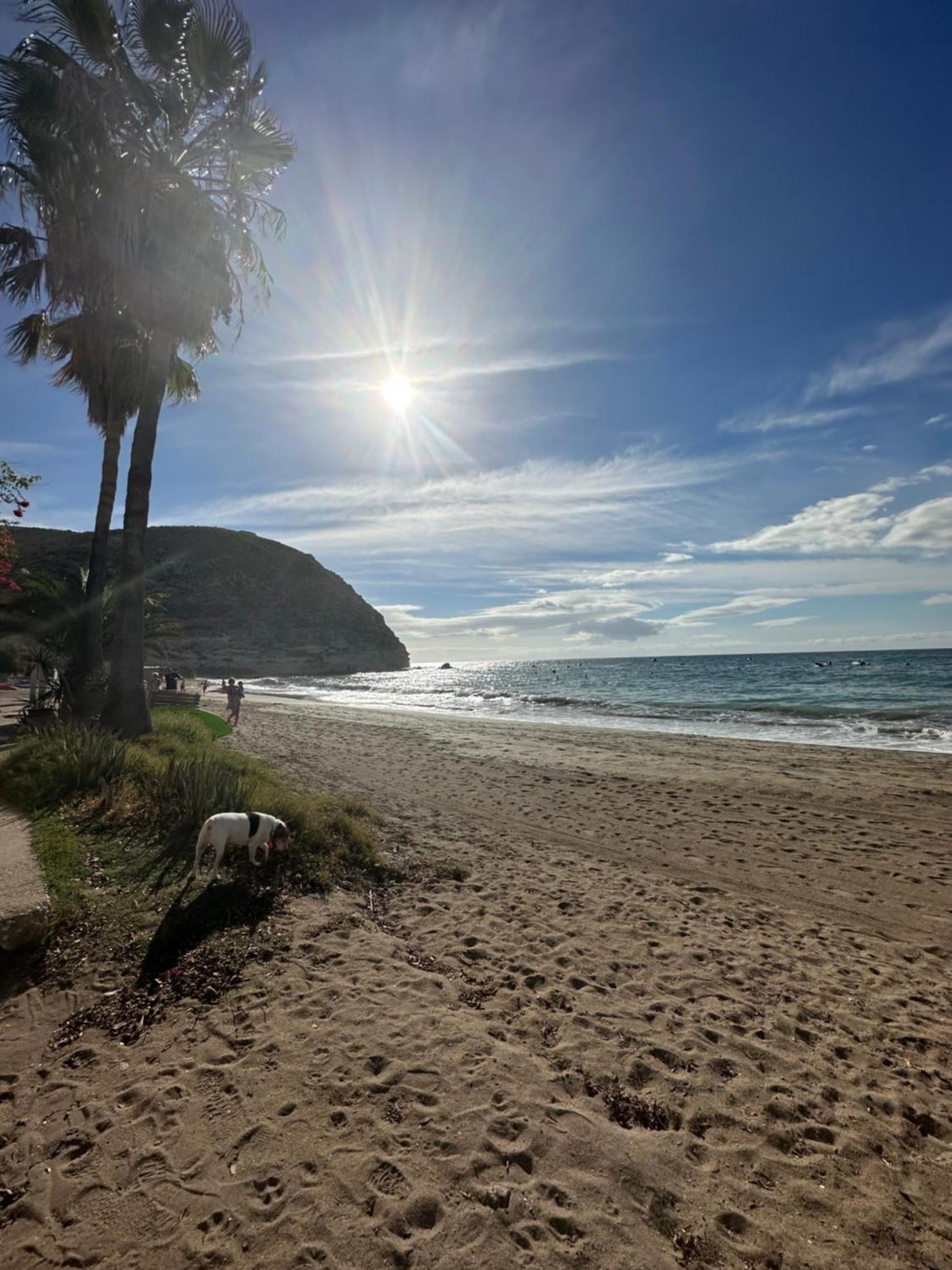 Apartament Arto Blanco Agua Amarga  Zewnętrze zdjęcie