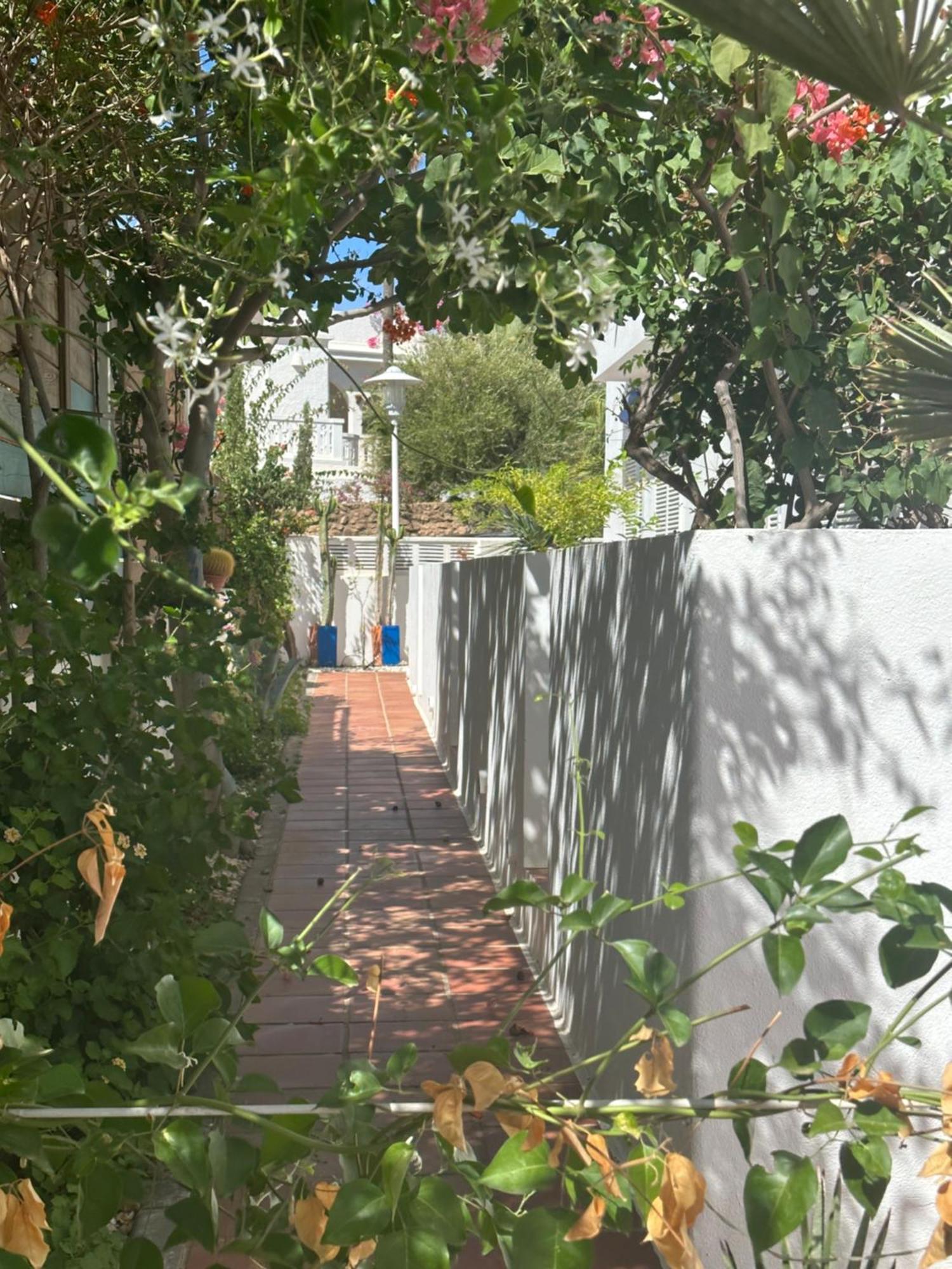 Apartament Arto Blanco Agua Amarga  Zewnętrze zdjęcie